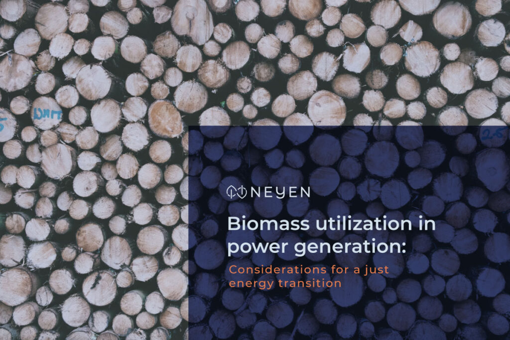Banner for article on Biomass utilization in power generation: Considerations for a just energy transition