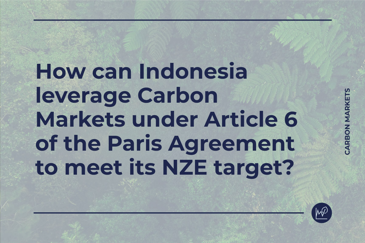 Bagaimana Indonesia dapat memanfaatkan Pasar Karbon di bawah Artikel 6 dari Paris Agreement untuk memenuhi target NZE-nya?