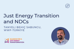 Just Energy Transition and NDCs interview with Tanyeli Behiç Sabuncu, WWF-Türkiye