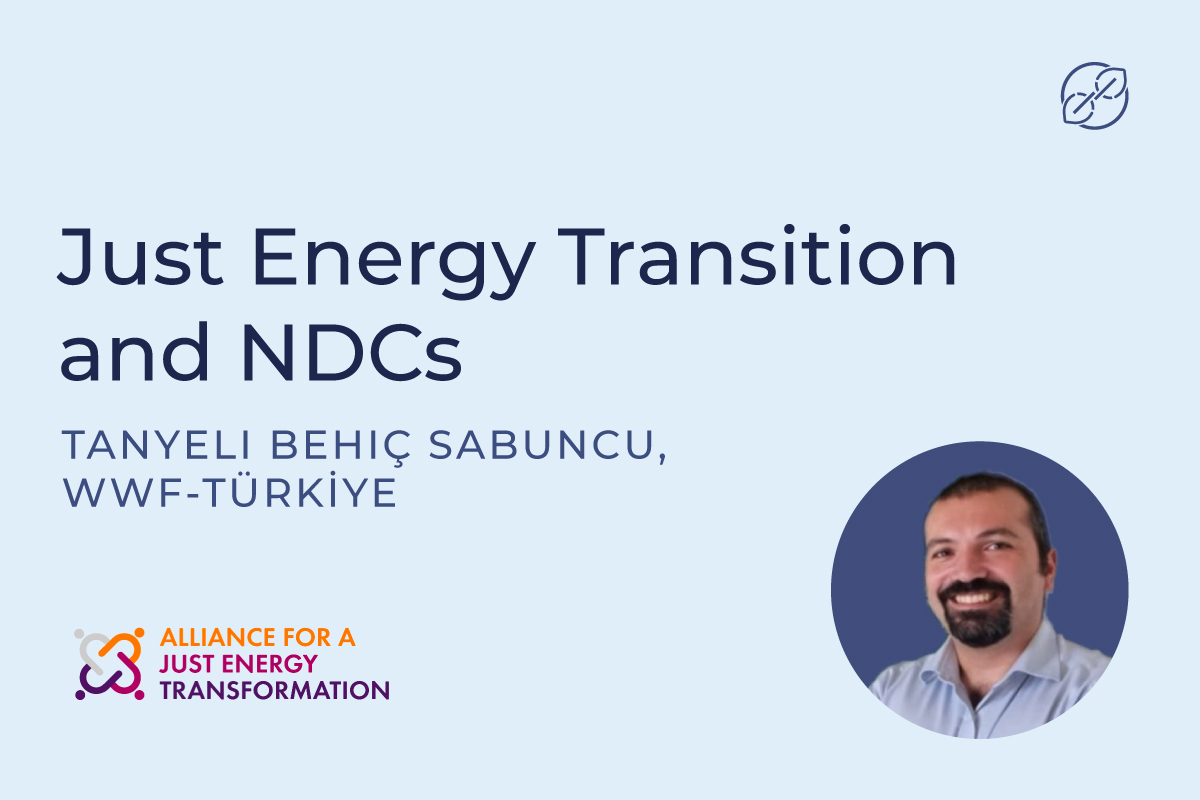 Just Energy Transition dan wawancara NDCs dengan Tanyeli Behiç Sabuncu, WWF-Türkiye
