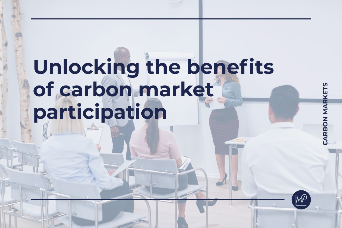 10 lessons learned from our experience supporting countries in designing national carbon market frameworks