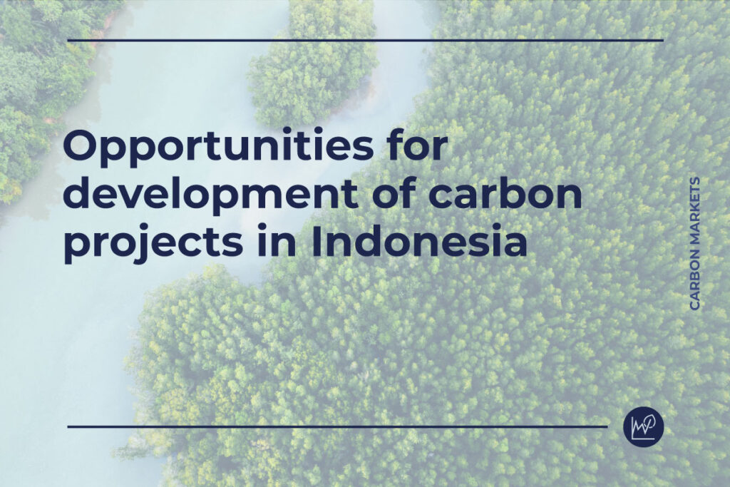 Opportunities for development of carbon projects in Indonesia