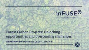 inFUSE Accelerator workshop on the opportunities and challenges of forest carbon projects