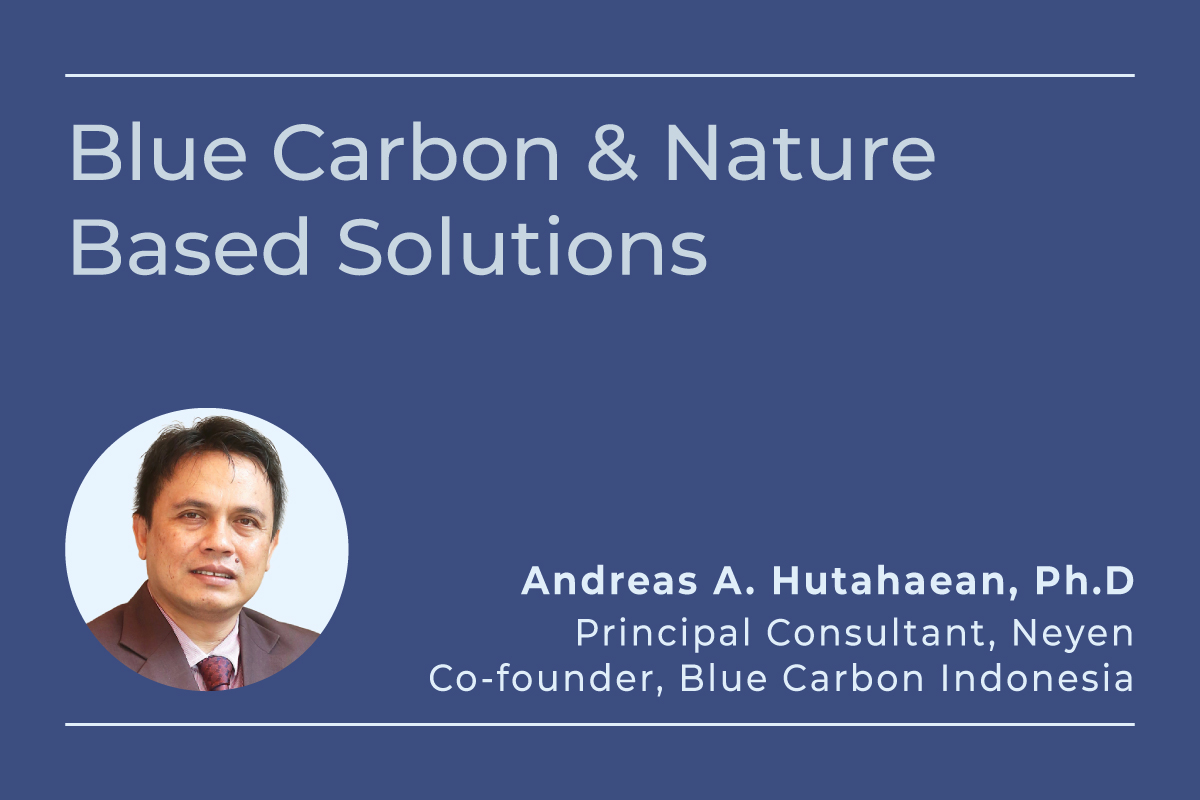 Blue Carbon and Nature Based Solutions. Q&A with Andreas A. Hutahaean